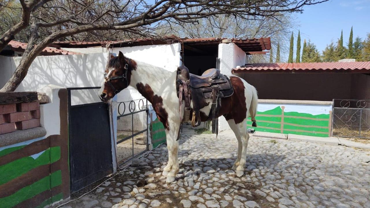 Rancho Labradores Atotonilco  Extérieur photo
