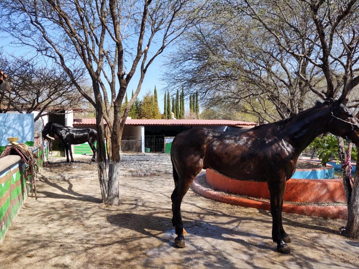 Rancho Labradores Atotonilco  Extérieur photo